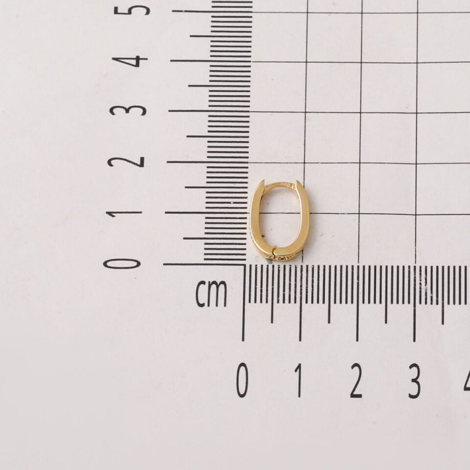 Oval 14 Ayar Altın Minimal Halka Küpe