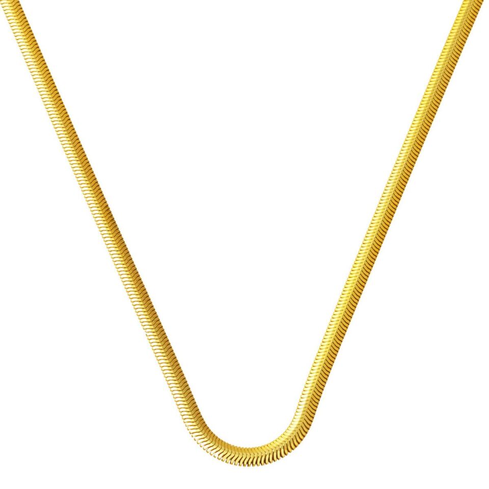 50 cm. 14 Ayar Altın Balık Sırtı Zincir