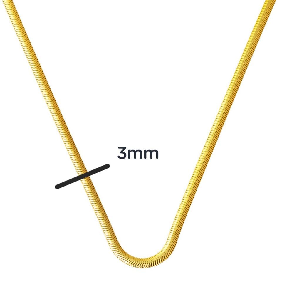50 cm. 14 Ayar Altın Balık Sırtı Zincir