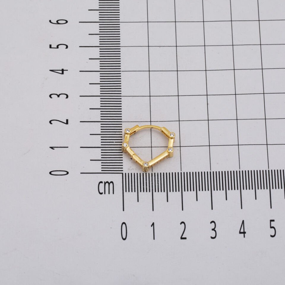 Üçgen Spor Altın Küpe