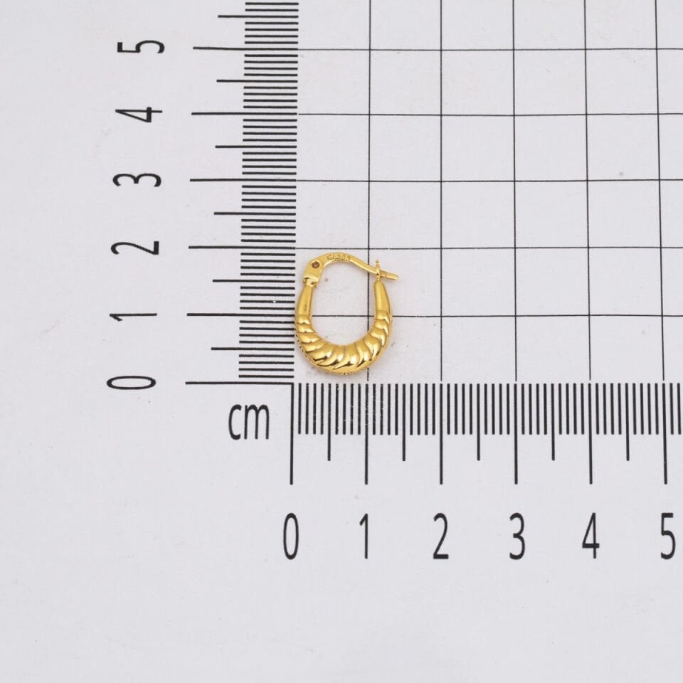 2 cm. Çaplı Burgulu Halka Altın Küpe
