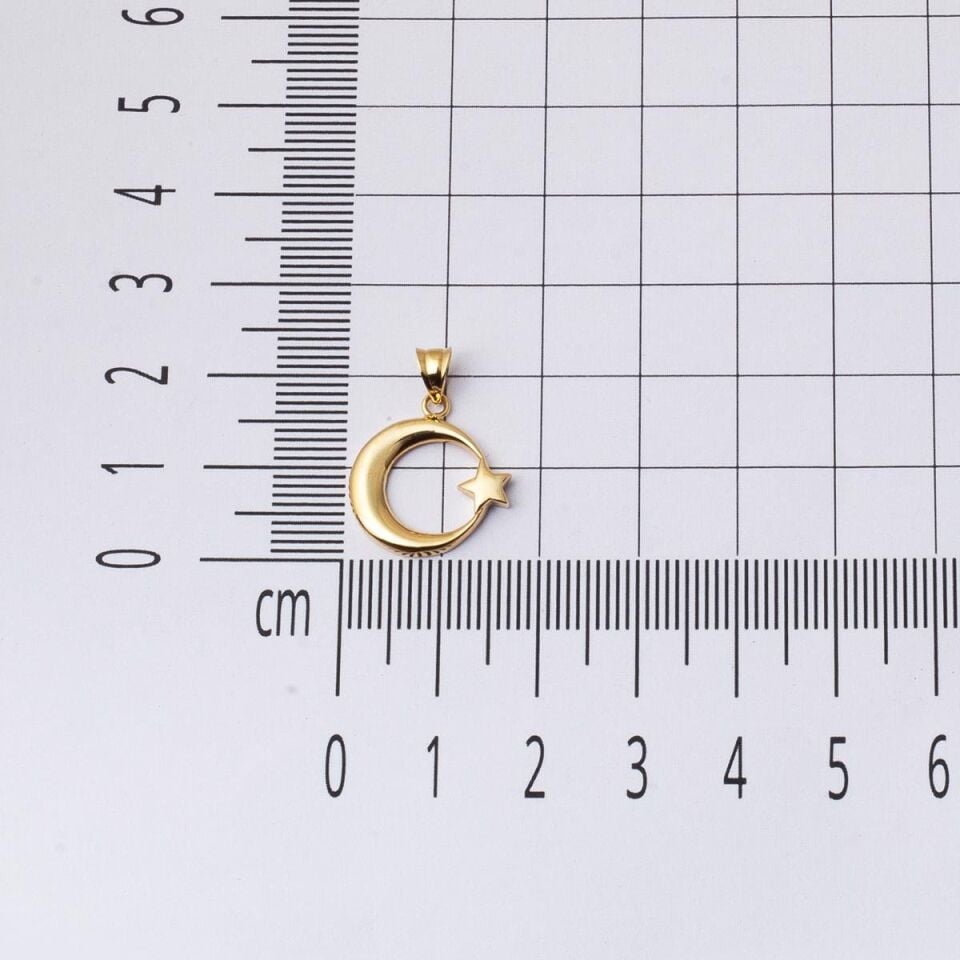 Ay Yıldızlı 14 Ayar Taşsız Altın Kolye