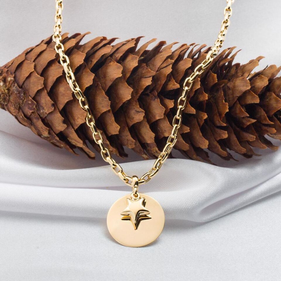 Yıldızlı Yuvarlak Plakalı Altın Kolye