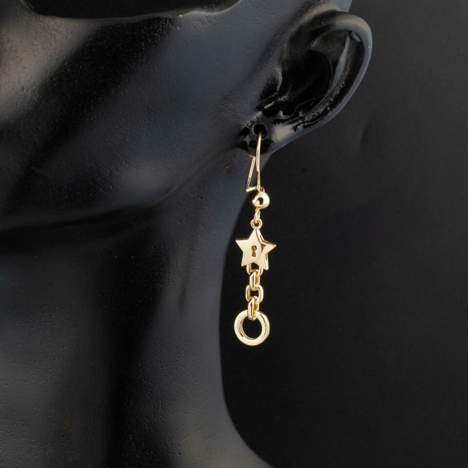 Yıldızlı Halkalı Sallantılı Küpe 14 Ayar