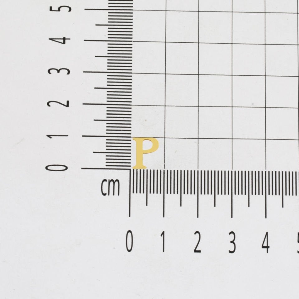 P Harfi Minimal 14 Ayar Altın Küpe