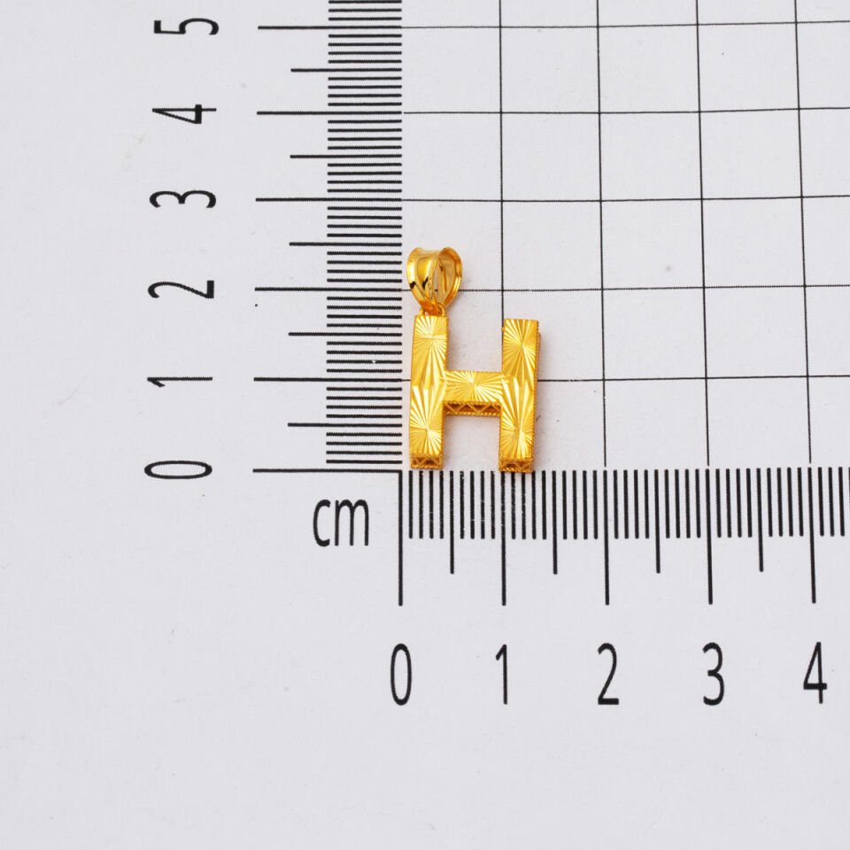 H Baş Harfli 22 Ayar 3 Boyutlu Altın Kolye