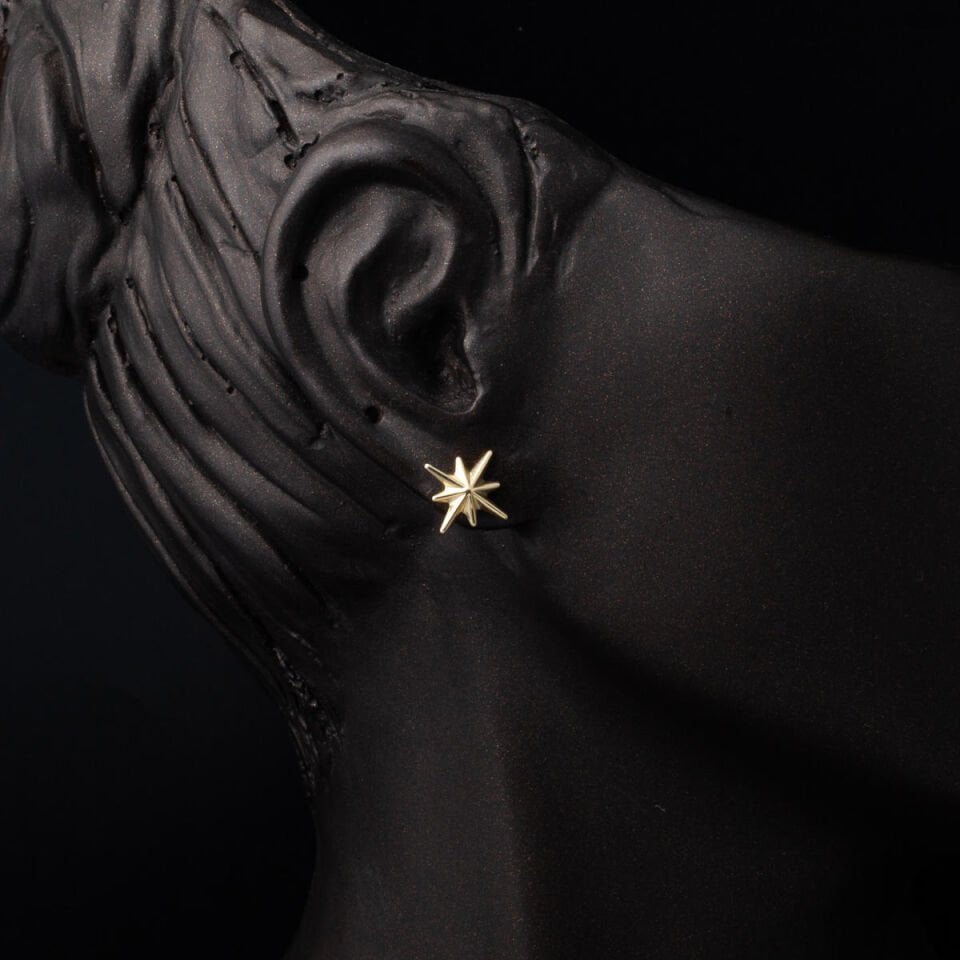 Pimli Kuzey Yıldızı Altın Küpe 14 Ayar