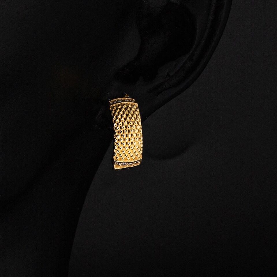 Tırtıl 14 Ayar Altın Küpe