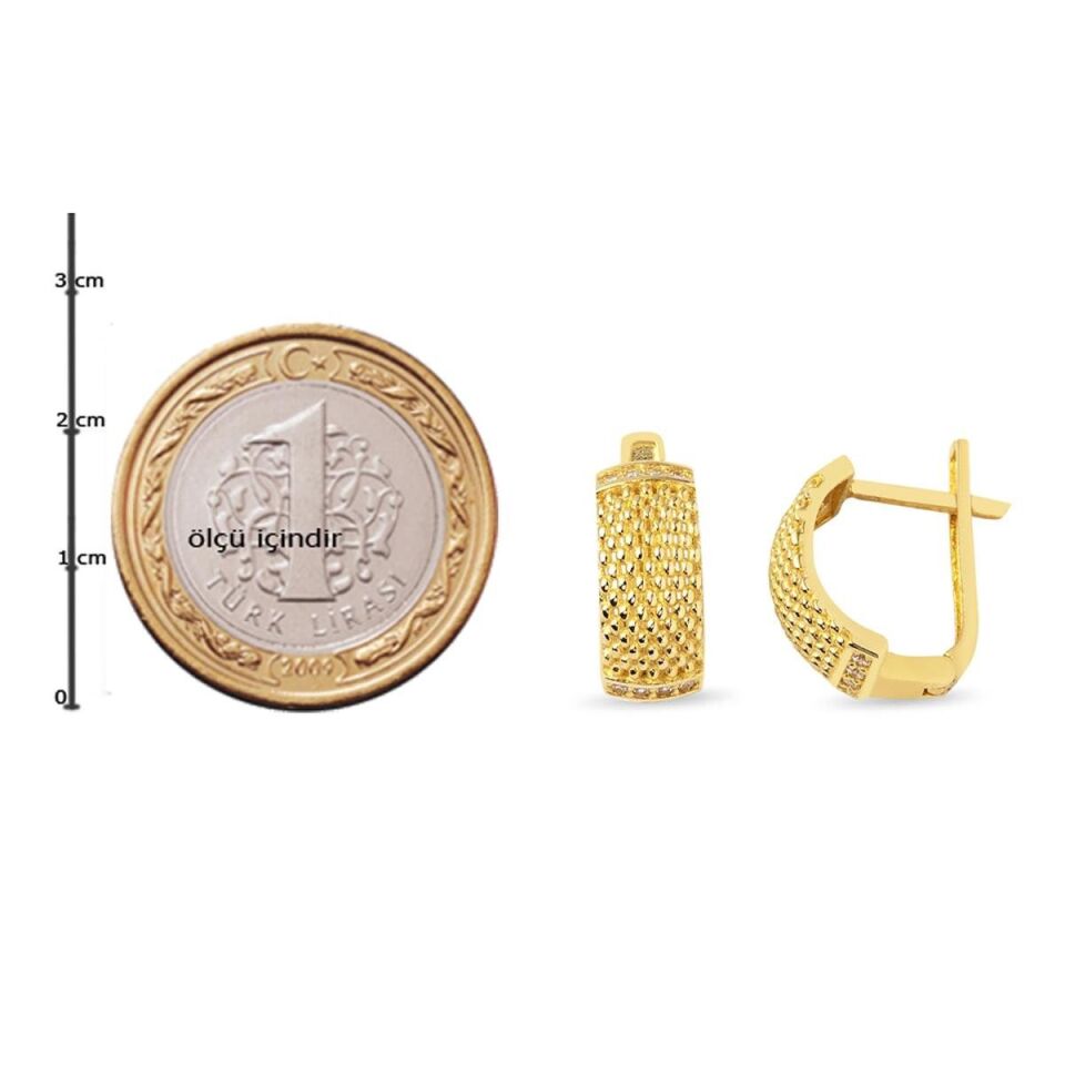 Tırtıl 14 Ayar Altın Küpe
