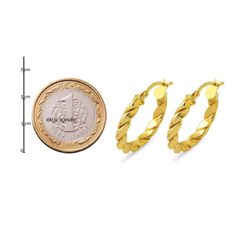 İkili Burma 14 Ayar Altın Küpe