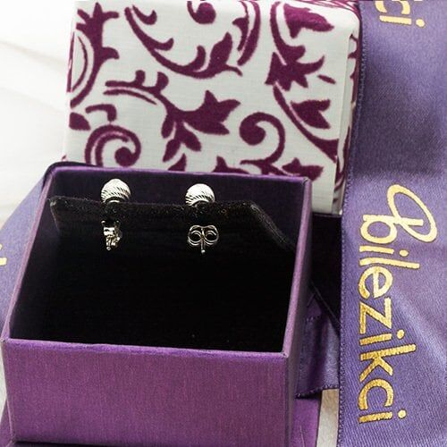 Arpaş Kalemli 14 Ayar Beyaz Altın Top Küpe